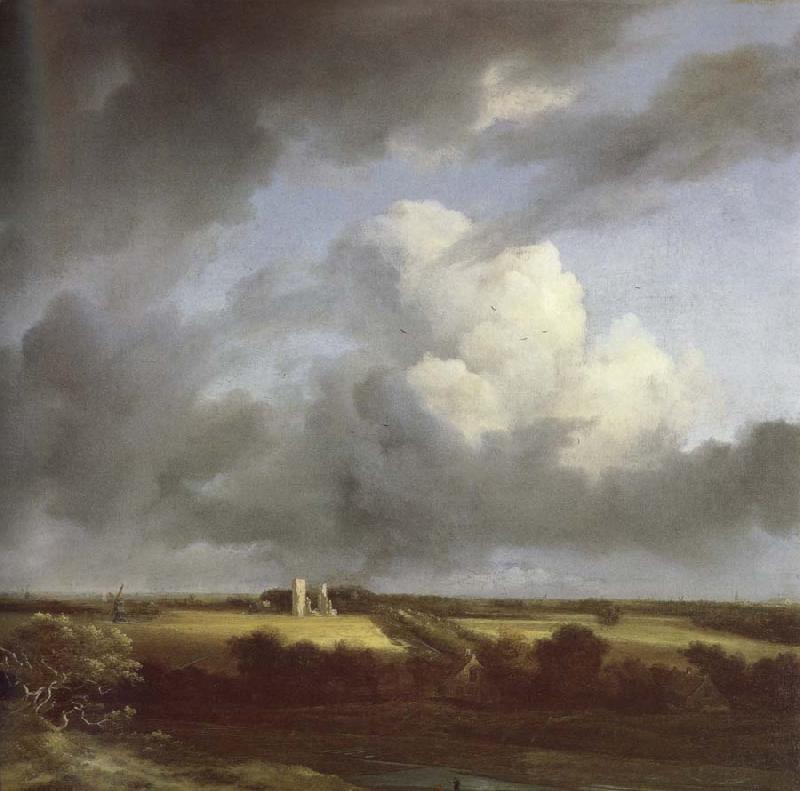Jacob van Ruisdael View of the Ruins of Huis ter Kleef and Haarlem Germany oil painting art